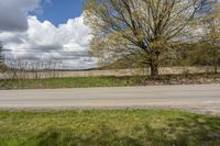 the stop sign is displayed on the side of the road by the grassy field with a lone tree