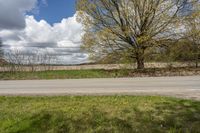 the stop sign is displayed on the side of the road by the grassy field with a lone tree