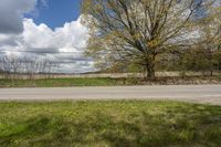 the stop sign is displayed on the side of the road by the grassy field with a lone tree