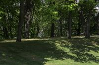 a man tossing a frisbee in a green park next to some trees and a small hill