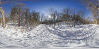 a panoramic photograph of snow covered trees on a road in wintertime,