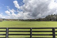 this is a view of a pasture with two horses on it from behind a black fence