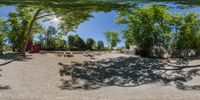 a panoramic view of a picnic area under a tree with benches and tables