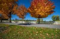 an image of a road in the fall leaves on the trees and bench near it