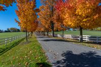 an open road lined with trees and white fences next to grass fields in the fall