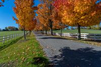 an open road lined with trees and white fences next to grass fields in the fall