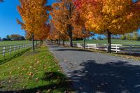 an open road lined with trees and white fences next to grass fields in the fall