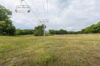 Scenic Beauty of Rural Ontario: Grassy Fields and Trees