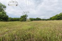 Scenic Beauty of Rural Ontario: Grassy Fields and Trees