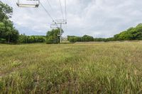 Scenic Beauty of Rural Ontario: Grassy Fields and Trees