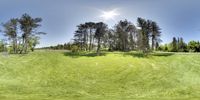 a small circular panorama of trees and grass with a field in front of the photographer