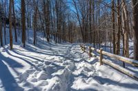 snowy pathway through an open wood area of the woods, with a wooden fence, near the trees in front