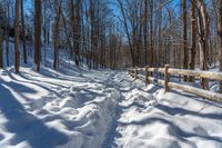 snowy pathway through an open wood area of the woods, with a wooden fence, near the trees in front