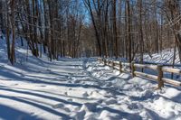 snowy pathway through an open wood area of the woods, with a wooden fence, near the trees in front