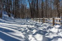 snowy pathway through an open wood area of the woods, with a wooden fence, near the trees in front