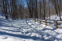 snowy pathway through an open wood area of the woods, with a wooden fence, near the trees in front