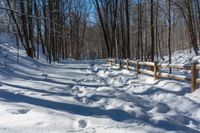 snowy pathway through an open wood area of the woods, with a wooden fence, near the trees in front