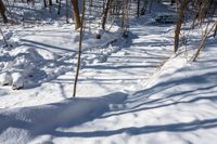 this is some snow in the woods and rocks and trees are covered by snow and a trail is shown