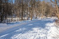 a person riding a snow board on a trail through the snow in front of trees