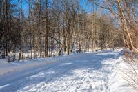 a person riding a snow board on a trail through the snow in front of trees