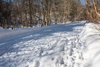 a person riding a snow board on a trail through the snow in front of trees