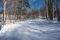 Rural Ontario: Snowy Road