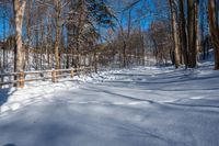 Rural Ontario: Snowy Road