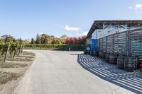 Rural Ontario: Straight Road, Shrubs, Vineyards 002