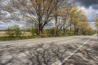 the street in front of some trees is empty and deserted during the day there are trees to the right