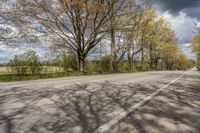 the street in front of some trees is empty and deserted during the day there are trees to the right