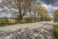 the street in front of some trees is empty and deserted during the day there are trees to the right