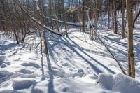 snow drifts up the side of a trail in the woods, creating interesting shadows on the snow