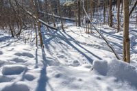 snow drifts up the side of a trail in the woods, creating interesting shadows on the snow