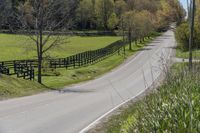 Rural Ontario: A Tree-Lined Road to the Farm