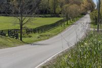 Rural Ontario: A Tree-Lined Road to the Farm