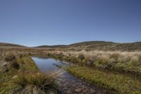 a shallow creek in an open landscape surrounded by grass and bushes and a hill top