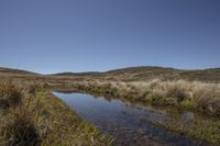 a shallow creek in an open landscape surrounded by grass and bushes and a hill top