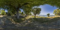 a tree - filled park in the foreground with an empty field and lake as seen through a small lens