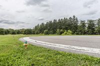 Rural Pasture in Ontario: A Daytime View