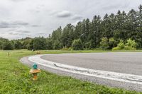 Rural Pasture in Ontario: A Daytime View