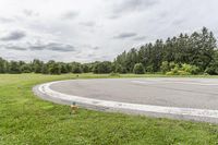 Rural Pasture in Ontario: A Daytime View