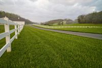 Rural Pasture in Tennessee: A Tranquil Scene of Agriculture