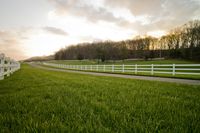 Rural Pasture in Tennessee: A Tranquil Scene of Agriculture