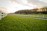 Rural Pasture in Tennessee: A Tranquil Scene of Agriculture