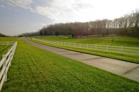 Rural Pasture in Tennessee: A Tranquil Scene of Agriculture