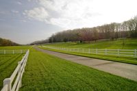 Rural Pasture in Tennessee: A Tranquil Scene of Agriculture