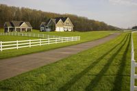 Rural Pasture in Tennessee: A Tranquil Scene of Agriculture