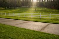 Rural Pasture in Tennessee: A Tranquil Scene of Agriculture