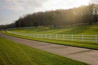 Rural Pasture in Tennessee: A Tranquil Scene of Agriculture
