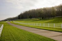 Rural Pasture in Tennessee: A Tranquil Scene of Agriculture